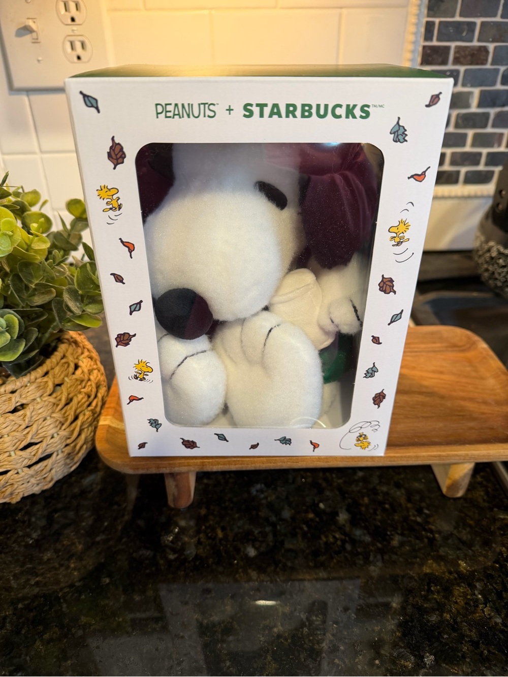Starbucks x Peanuts Snoopy Autumn Plush NIB (Fall Collection)